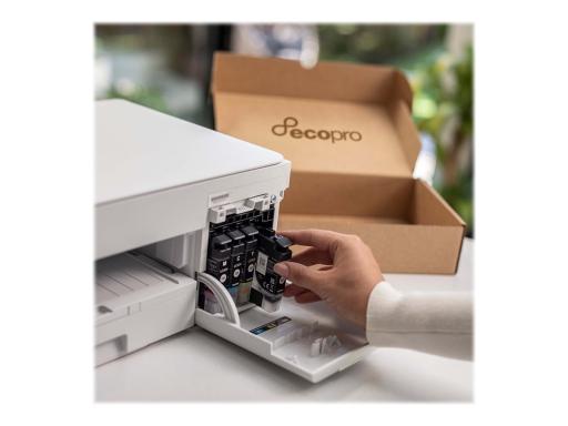 Image 835df07d-207b-4d24-8525-cf49eafa5f93.jpg Image