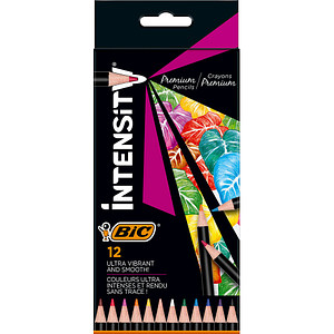 12 BIC INTENSITY Premium Buntstifte farbsortiert