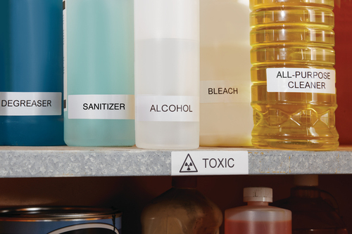 Image 86488476_3596153970.jpg Image