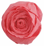 Clairefontaine Krepp-Papier, (B)500 mm x (L)2,5 m, lachs