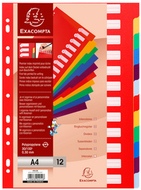 EXACOMPTA Kunststoff-Register, blan ko, A4, 12-teilig (8700682)
