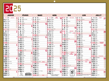 EXACOMPTA Wandkalender, 2025, 220 x 295 mm