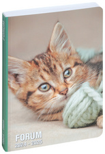 Clairefontaine Agenda scolaire FORUM, 2024/2025, Chat