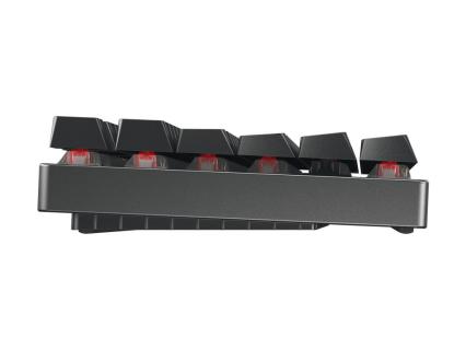 Image 8773f8c1-1147-49b6-8c41-68d804ac9245.jpg Image