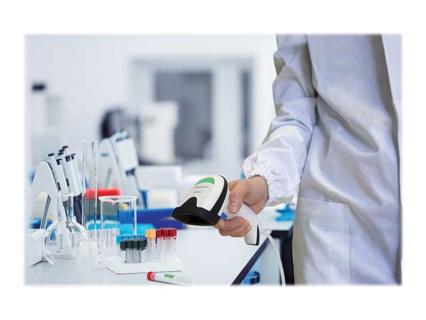 Image 8833802d-25f0-4cc5-83c2-f20a83120826.jpg Image