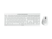 Image 8db0b69e-33bd-44f3-b31a-76a46d9be09c.jpg Image