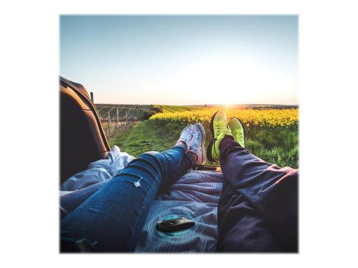 Image 8f277877-f6da-4da5-aaaf-91740d8fe7d7.jpg Image