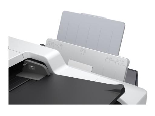 Image 9003dc76-28fc-4056-8306-091d583d8625.jpg Image