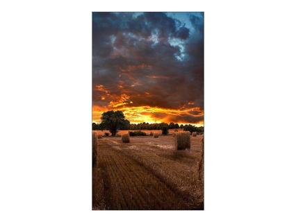 Image 91600805-9a98-4ca3-903c-3d6058178ed4.jpg Image