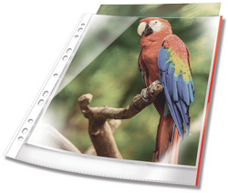 10 DURABLE Prospekthüllen PREMIUM DIN A4 rot klar 0,08 mm