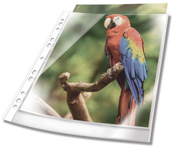 25 DURABLE Prospekthüllen PREMIUM DIN A4 weiß klar 0,08 mm