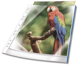 25 DURABLE Prospekthüllen PREMIUM DIN A4 blau klar 0,08 mm