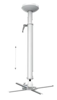 Image 92999407_4798977951.jpg Image