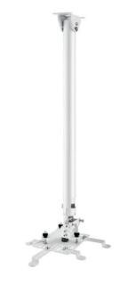 Image 92999753_4249862581.jpg Image