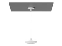 Image 9334f32e-5b22-4d7f-9de5-7b0c18834a26.jpg Image