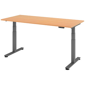 HAMMERBACHER XDSM19 elektrisch höhenverstellbarer Schreibtisch buche rechteckig, T-Fuß-Gestell grau 180,0 x 80,0 cm