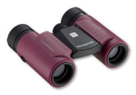 Olympus Slim 8x21 RC II WP Red Fernglas