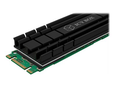 Image 9795b899-2d2d-4606-baf4-c05e736c8093.jpg Image