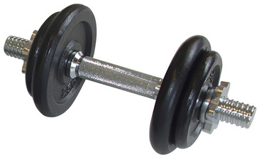 SCHILDKRÖT Kurzhantel-Set, 10,0 kg, im Koffer