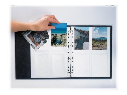 Image 9837800a-cb8f-41d9-a593-95e7d8292edf.jpg Image