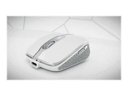 Image 9871e7c6-3db2-45ca-ad88-f853277aa521.jpg Image