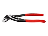 Image 99b9acc0-81ed-40ed-a93f-bd733e22f6ec.jpg Image