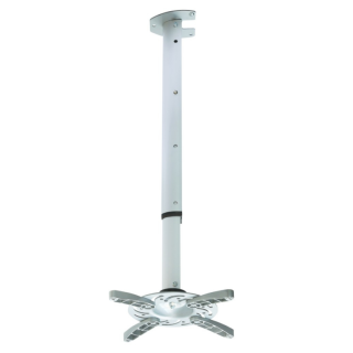 Image 9NWXiEVVBUvPzL9ZQbmMnc4JC1jmzF-puZDOR8xkY1k=.png Image