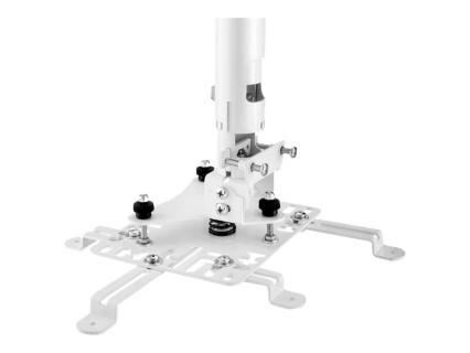 Image 9ae56877-a671-499d-87d4-af45a72d8518.jpg Image