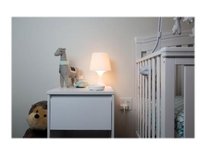 Image 9b11812f-41f5-4a07-a62f-d9faaae8f5f5.jpg Image