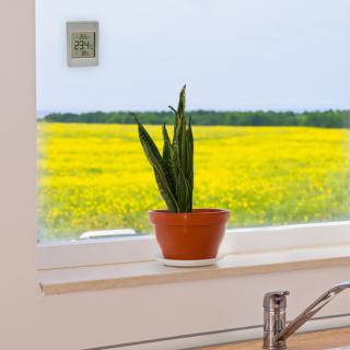 Image 9cc72d053169bfdabb3526458fa9324ac22b16f2.jpg Image