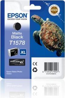 Image 9ccd0d851b0d2c8cf066e9c1d6e601e1.jpg Image