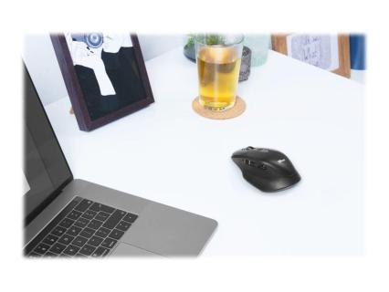 Image 9e48ede4-2306-4353-80a1-87a63a5040be.jpg Image