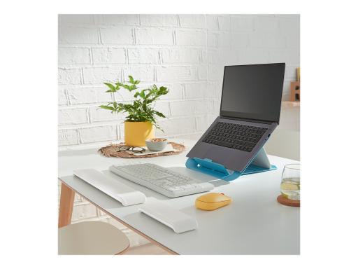 Image 9fbb93d6-1ebf-452f-a3be-c41e6fca18ef.jpg Image