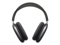 Image APPLE_AirPods_Max_-_Space_Gray_img5_3694048.jpg Image