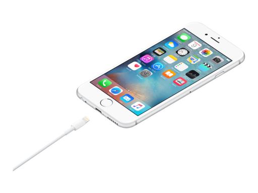 Image APPLE_Lightning_auf_USB_Daten-Ladekabel_img4_3714217.jpg Image