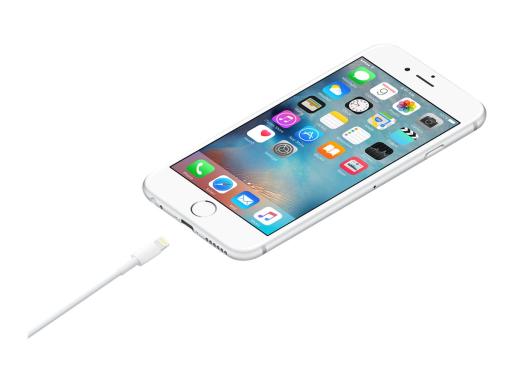 Image APPLE_Lightning_to_USB_Cable_1_m_img2_4079891.jpg Image