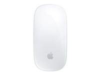 Image APPLE_Magic_Mouse_img5_4359149.jpg Image