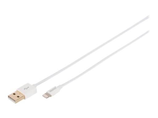 Apple iP5/6 Ladekabel,1m