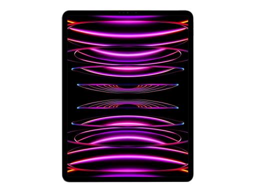 Apple iPad Pro 12.9 6.Gen (2022) WiFi 32,8 cm (12,9 Zoll) 512 GB spacegrau