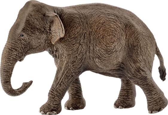 Asiatische Elefantenkuh, Nr: 14753