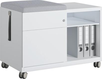 BISLEY Spind lichtgrau PL30501S1, 1 Schließfach 30,0 x 50,0 x 180,0 cm