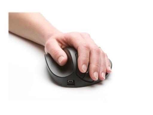 Image BNEP190RW_BAK_HANDSHOEMOUSE_img5_3682558.jpg Image