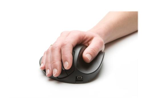 Image BNEP190RW_BAK_HANDSHOEMOUSE_img7_3682558.jpg Image