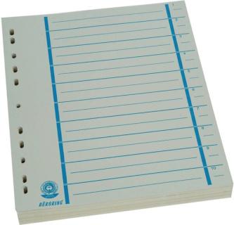 Büroring Trennblätter A4 blau chamois, farbiger Orgadruck