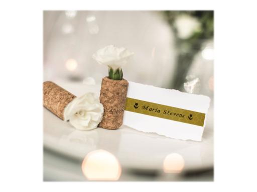 Image BROTHER_TZeMPGG31_-_Laminiertes_Band_-_b_img4_3685333.jpg Image