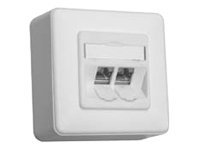 BTR NETCOM BTR E-DAT modul 8/8(8) AP Cat.6 Anschlußdose reinw.