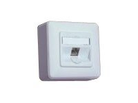 BTR NETCOM E-DAT modul 8(8) AP Cat.6 Anschlußdose reinw.