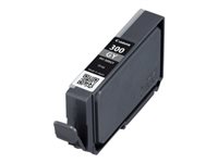 Image CANON_InkPFI-300_RPO_Cartridge_GY_img4_3683496.jpg Image