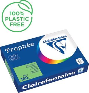 Kopierpapier,A4 160g, 250Blatt Trophee Intensiv, minze