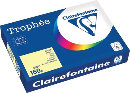 Kopierpapier,A4 160g, 250Blatt Trophee Pastell, gelb